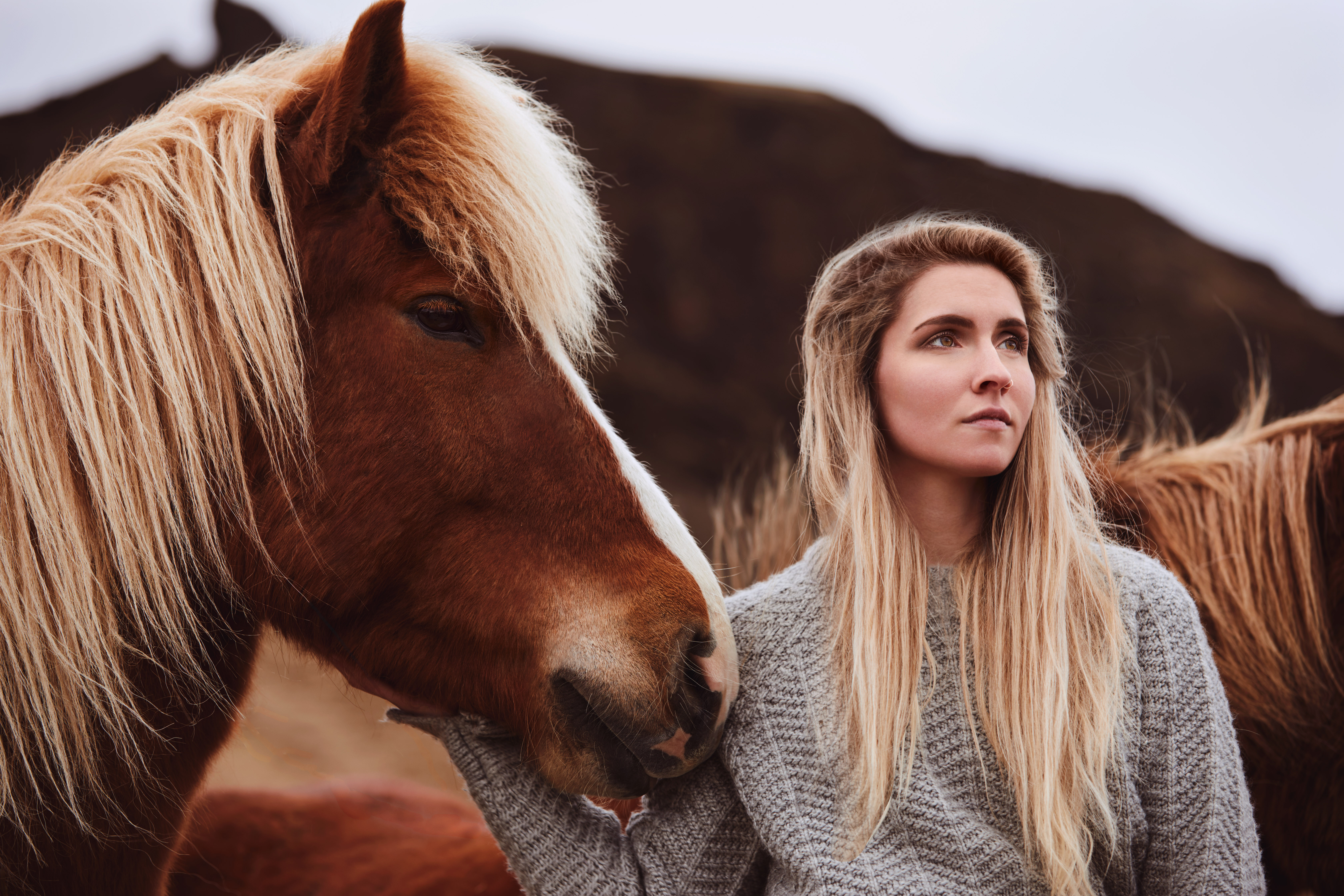 Serene portrait of a woman in grey sweater with an Icelandic horse, soft light illuminating their gentle connection.